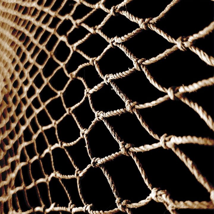 fish net